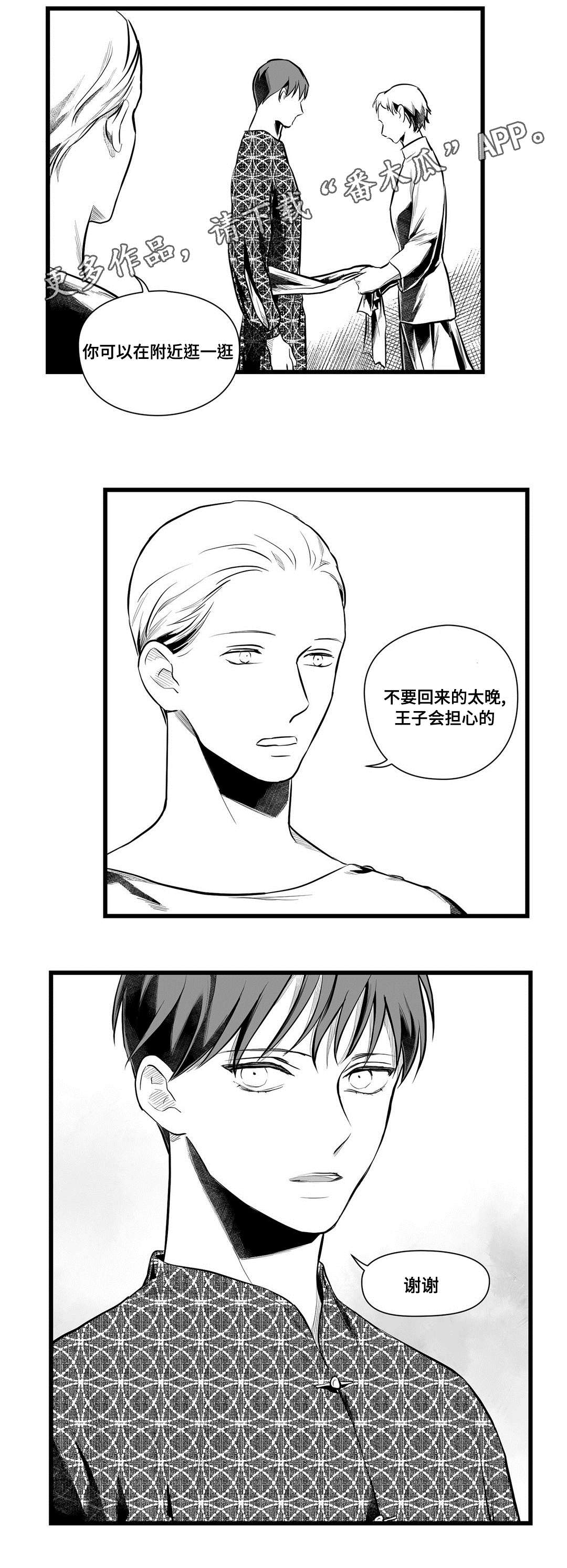 《巫师与王子》第50章监狱 第5页