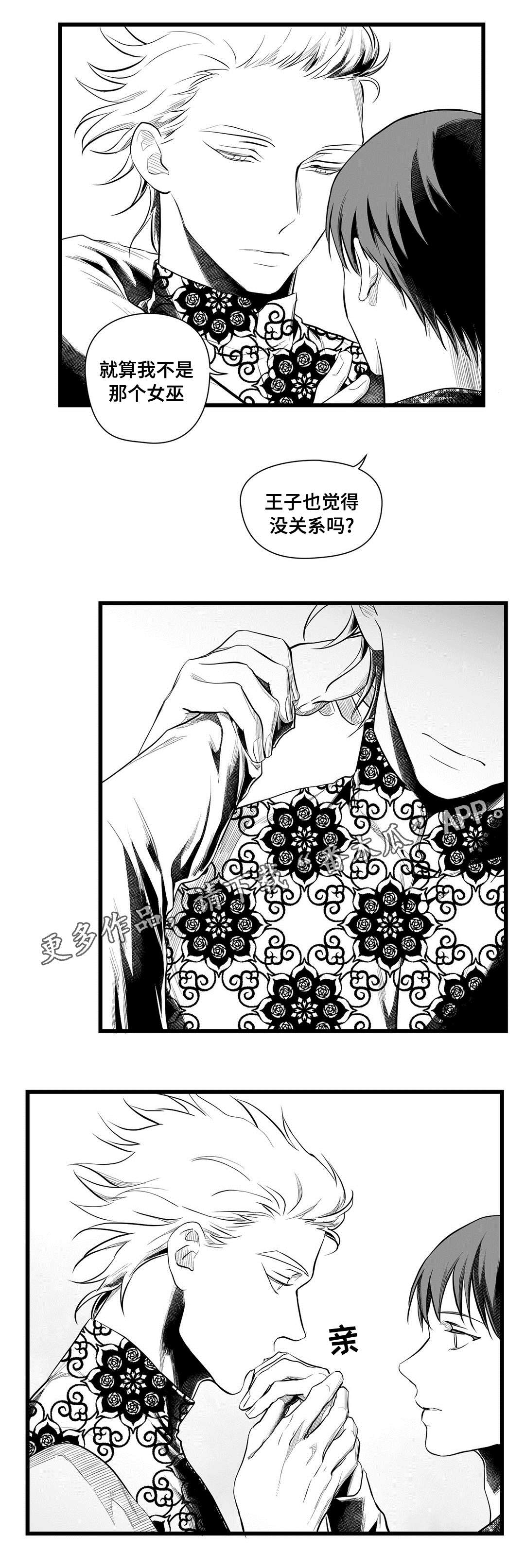 《巫师与王子》第51章魔力 第13页