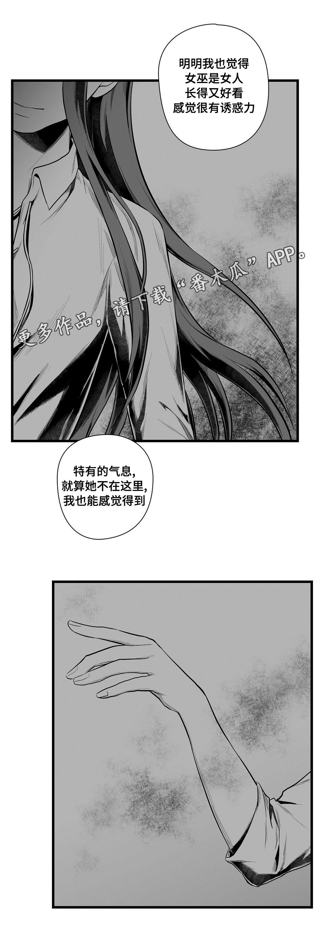 《巫师与王子》第51章魔力 第15页