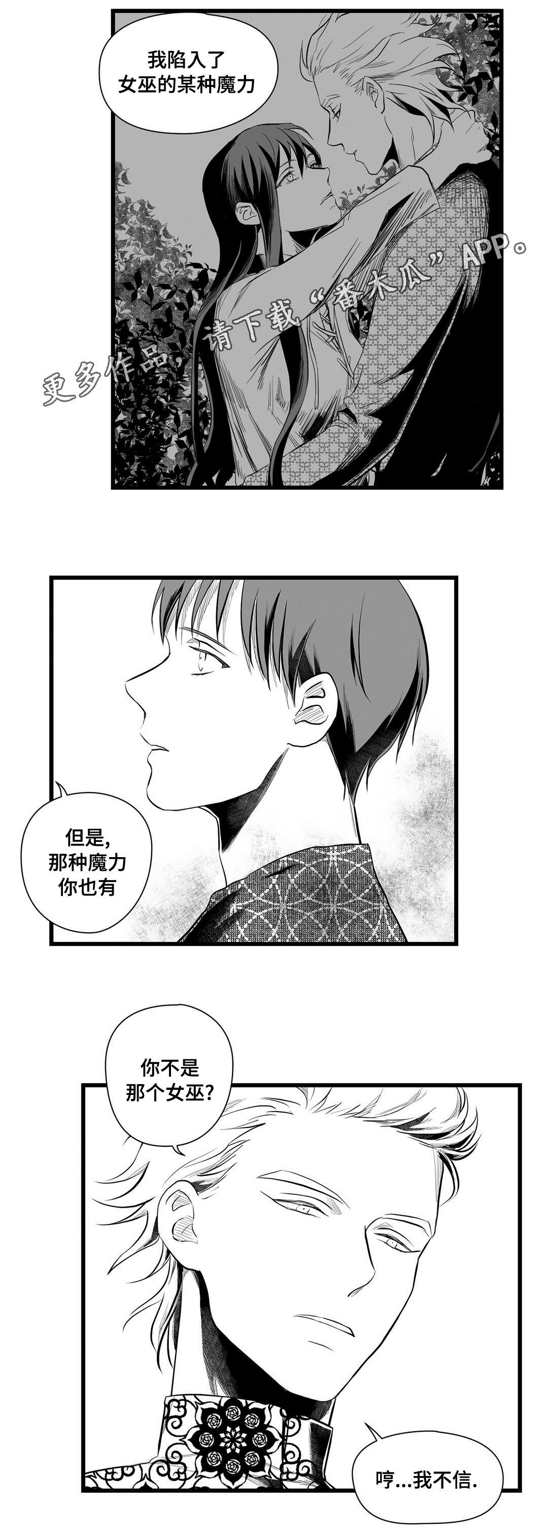 《巫师与王子》第51章魔力 第17页