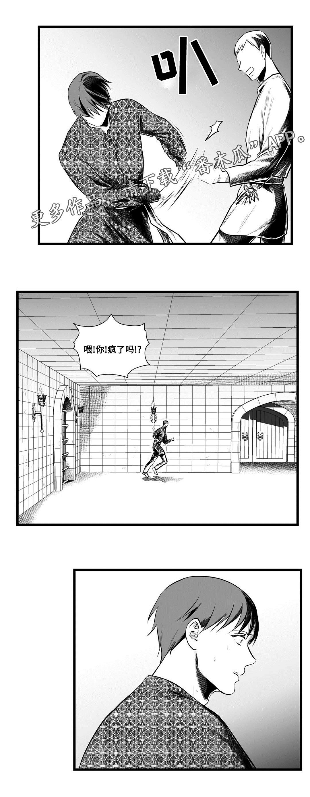 《巫师与王子》第51章魔力 第3页
