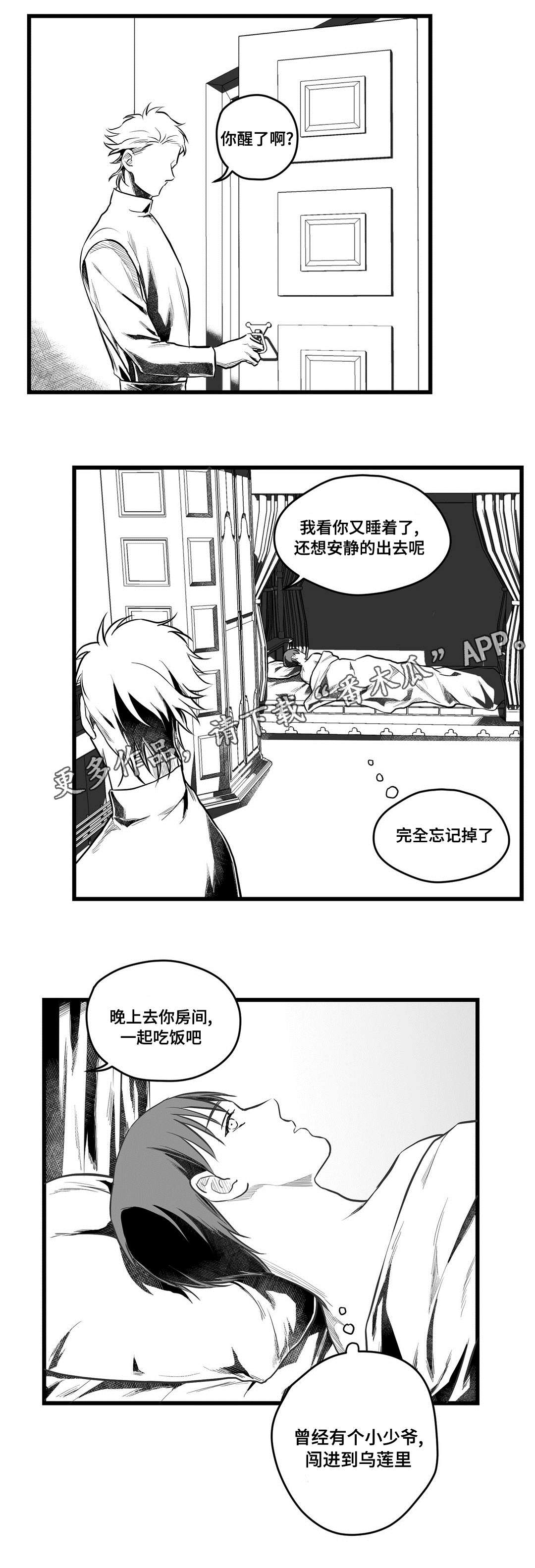 《巫师与王子》第53章无法理解 第11页