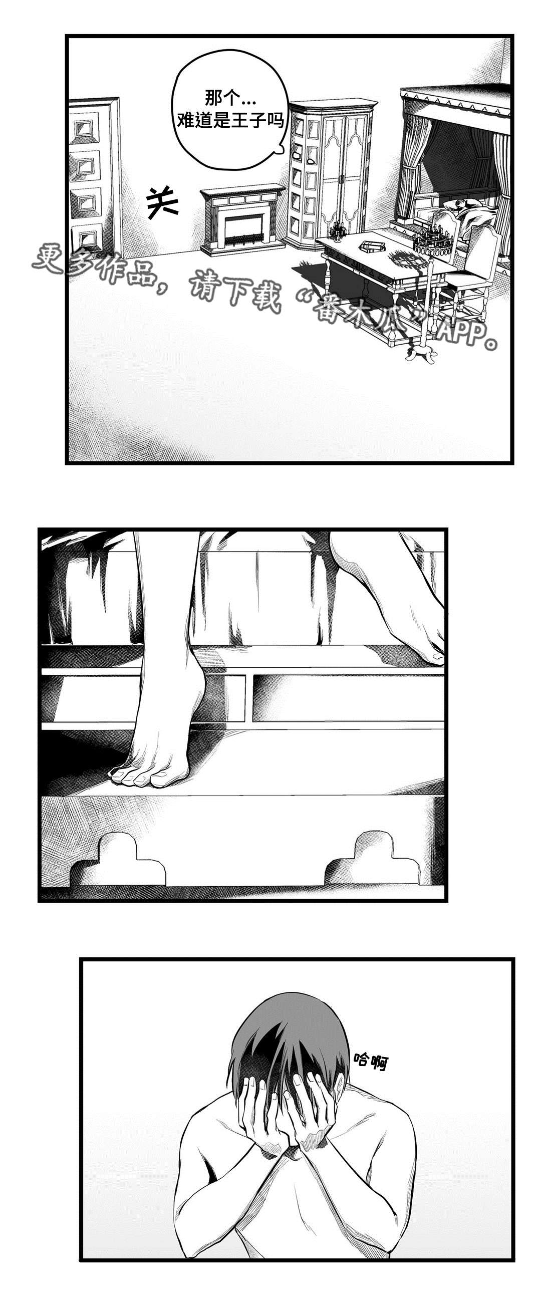 《巫师与王子》第53章无法理解 第12页