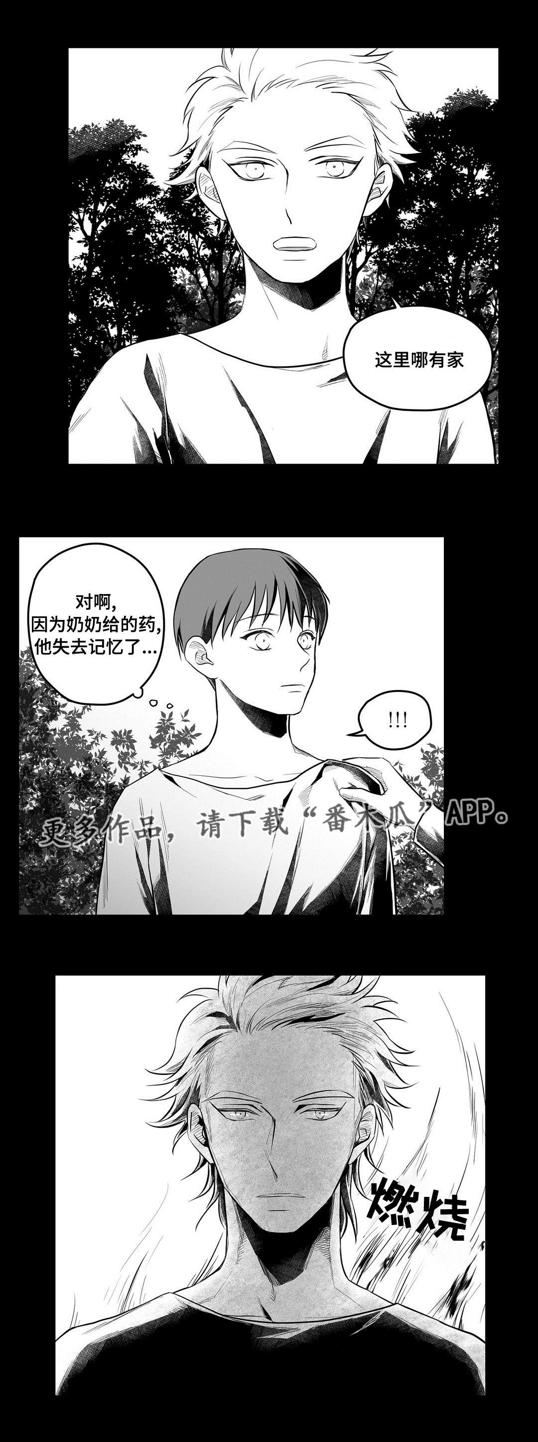 《巫师与王子》第53章无法理解 第9页