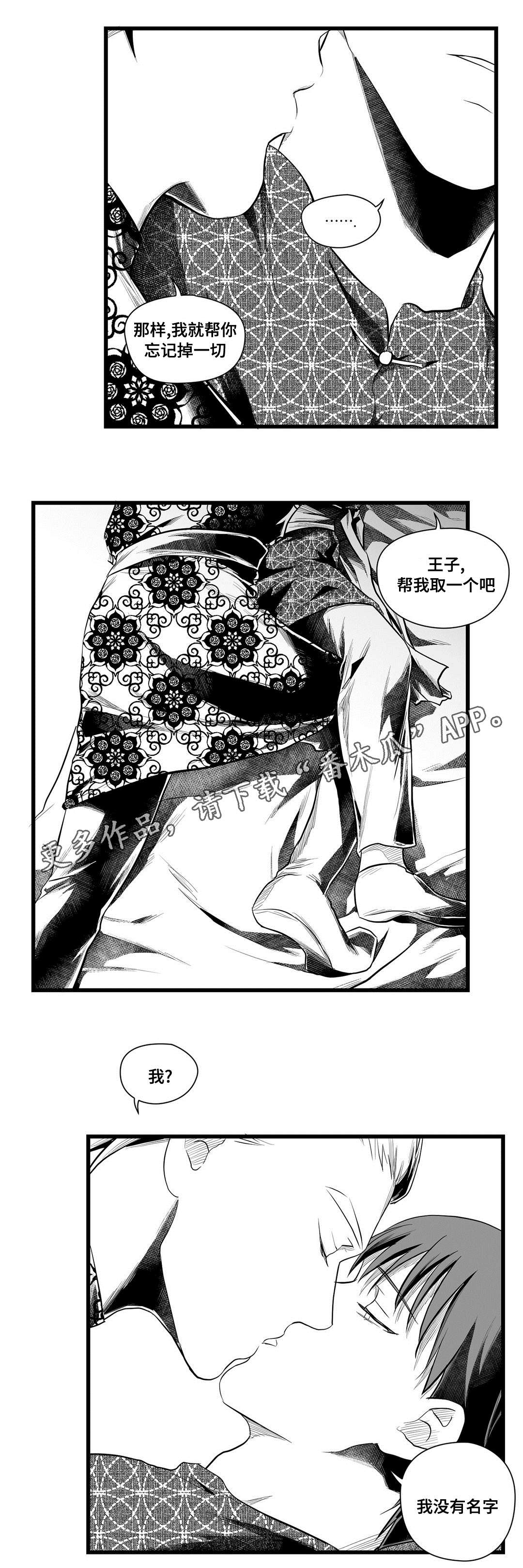 《巫师与王子》第52章名字 第10页
