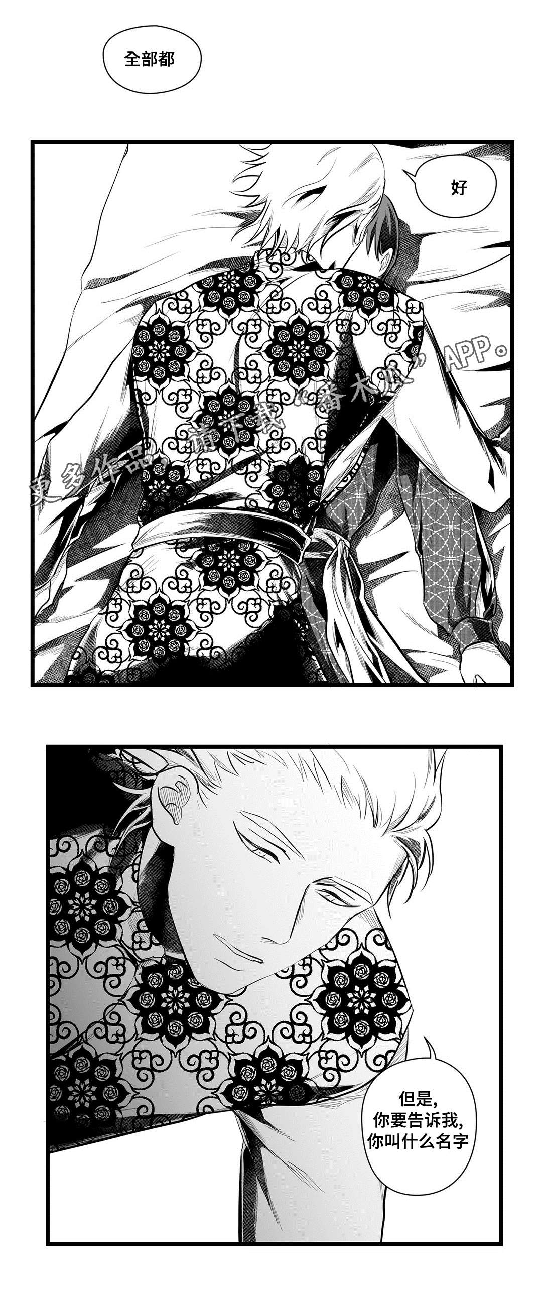 《巫师与王子》第52章名字 第9页