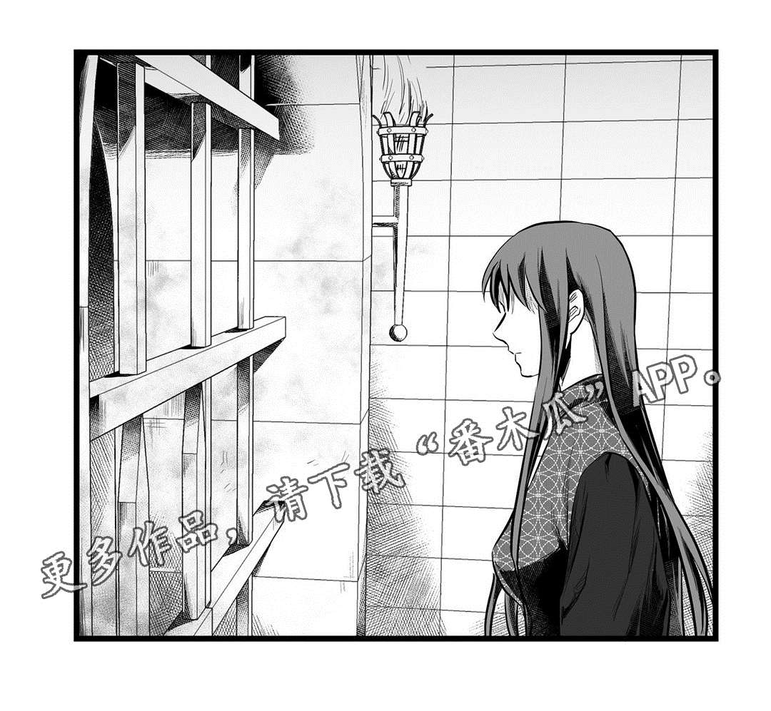 《巫师与王子》第54章出逃 第10页