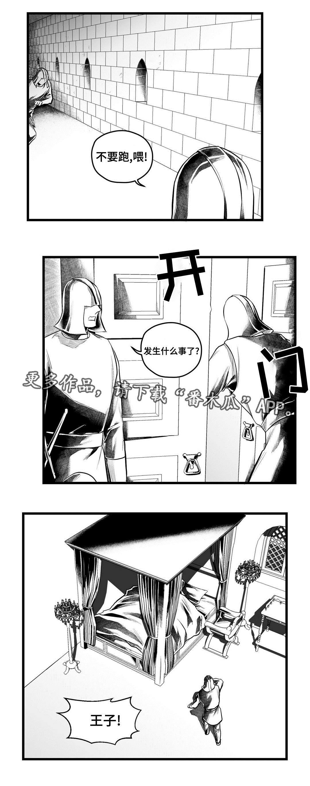《巫师与王子》第54章出逃 第14页