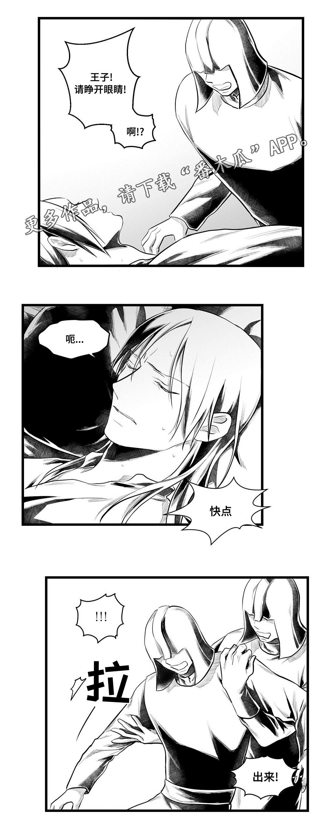 《巫师与王子》第54章出逃 第15页