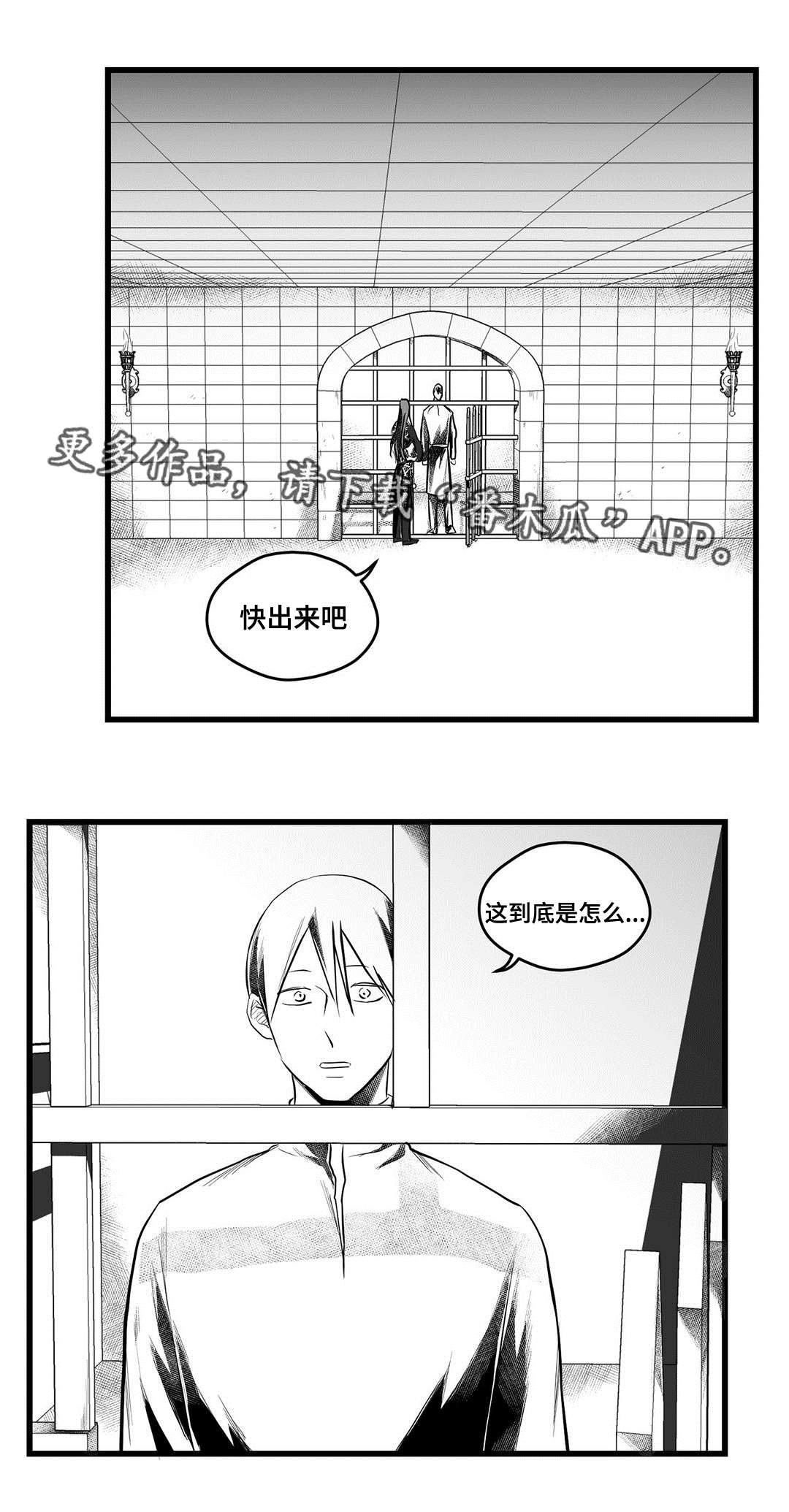 《巫师与王子》第54章出逃 第6页