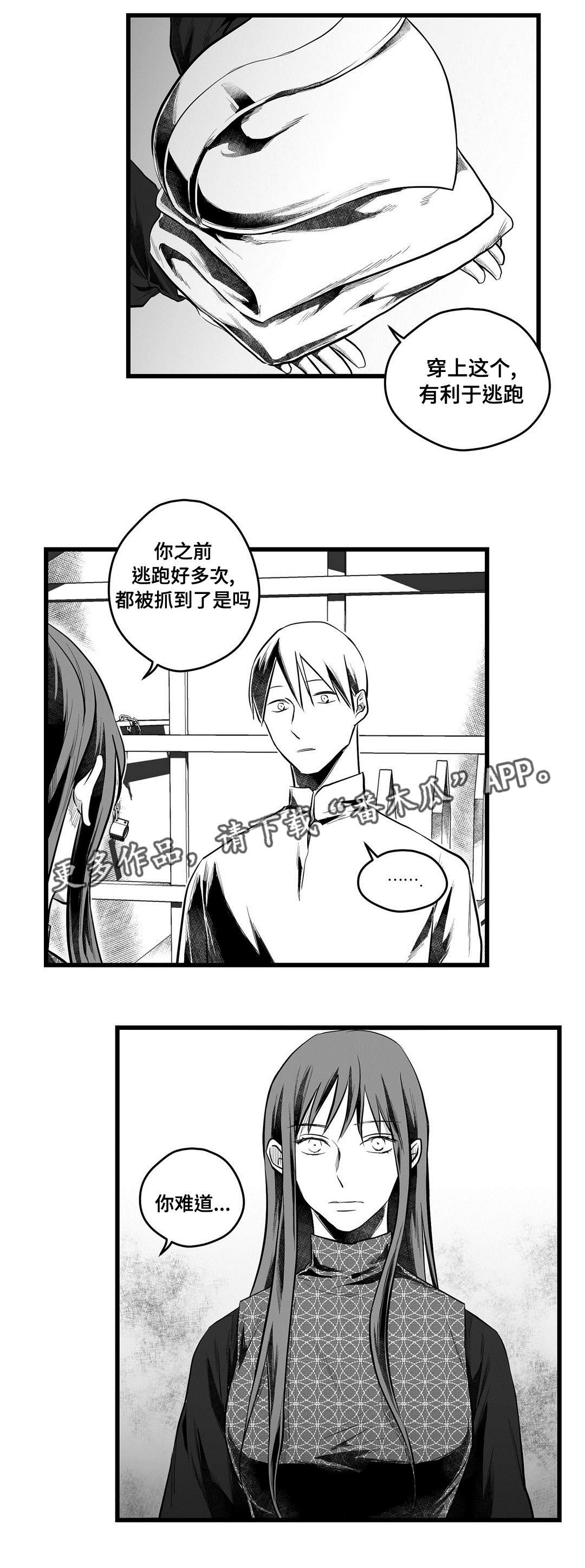 《巫师与王子》第54章出逃 第7页