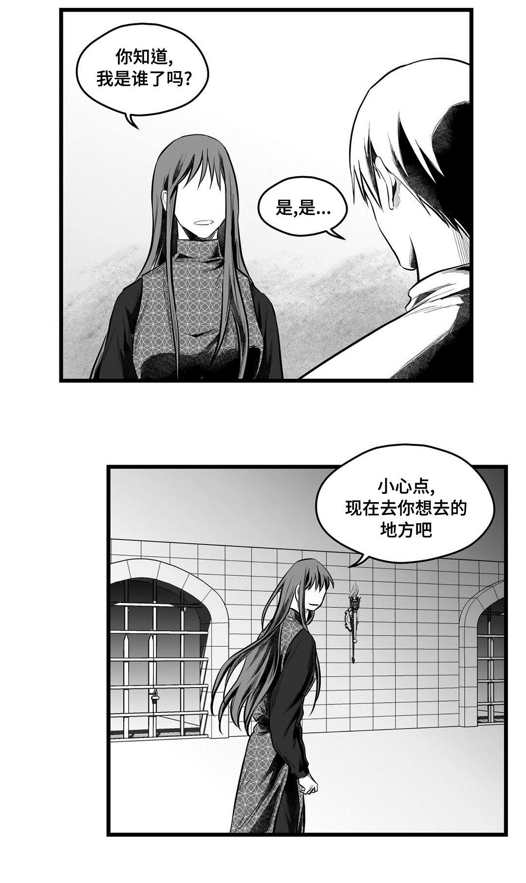 《巫师与王子》第54章出逃 第8页