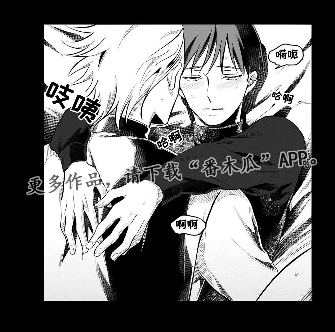 《巫师与王子》第55章爱上 第12页