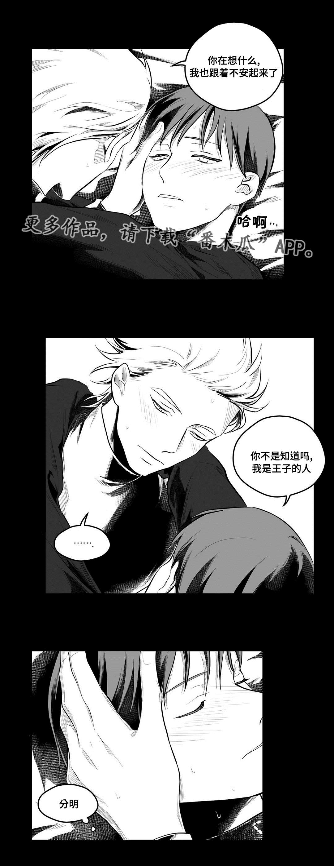 《巫师与王子》第55章爱上 第14页