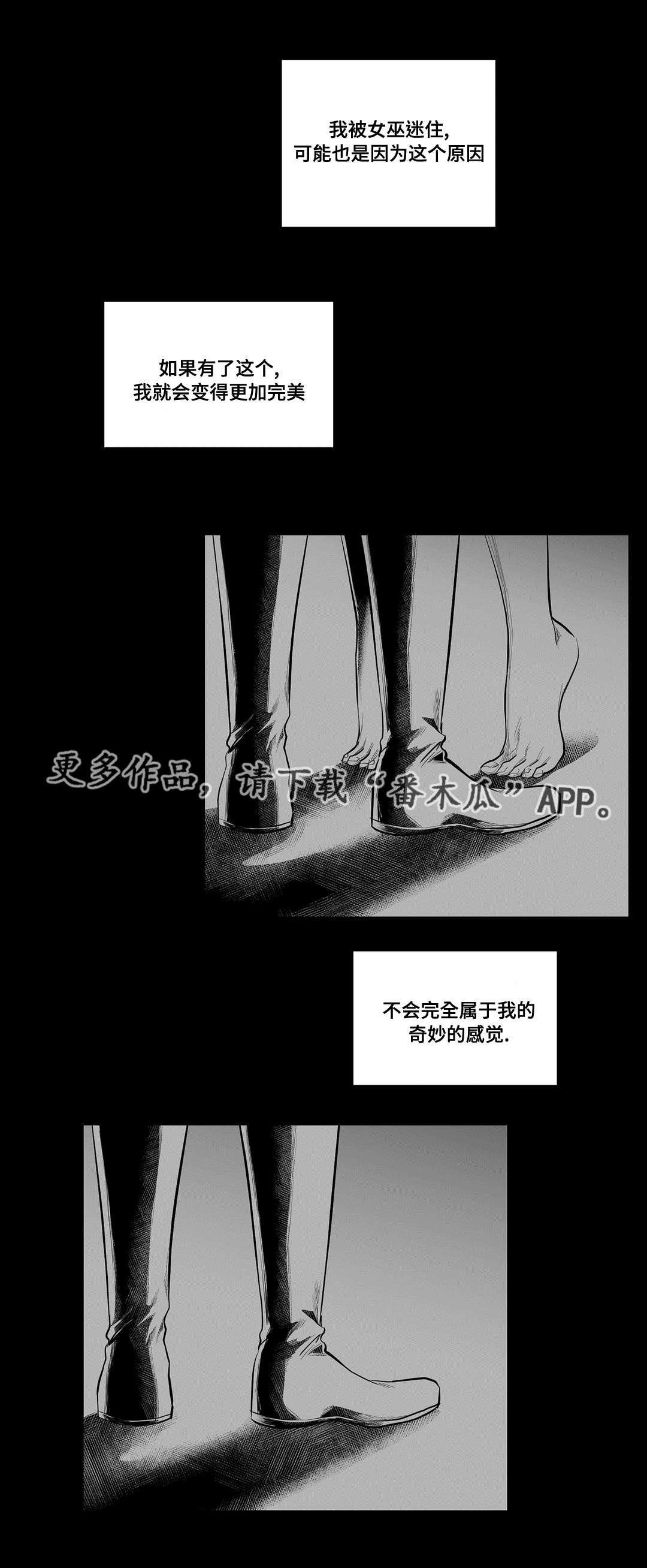 《巫师与王子》第55章爱上 第15页