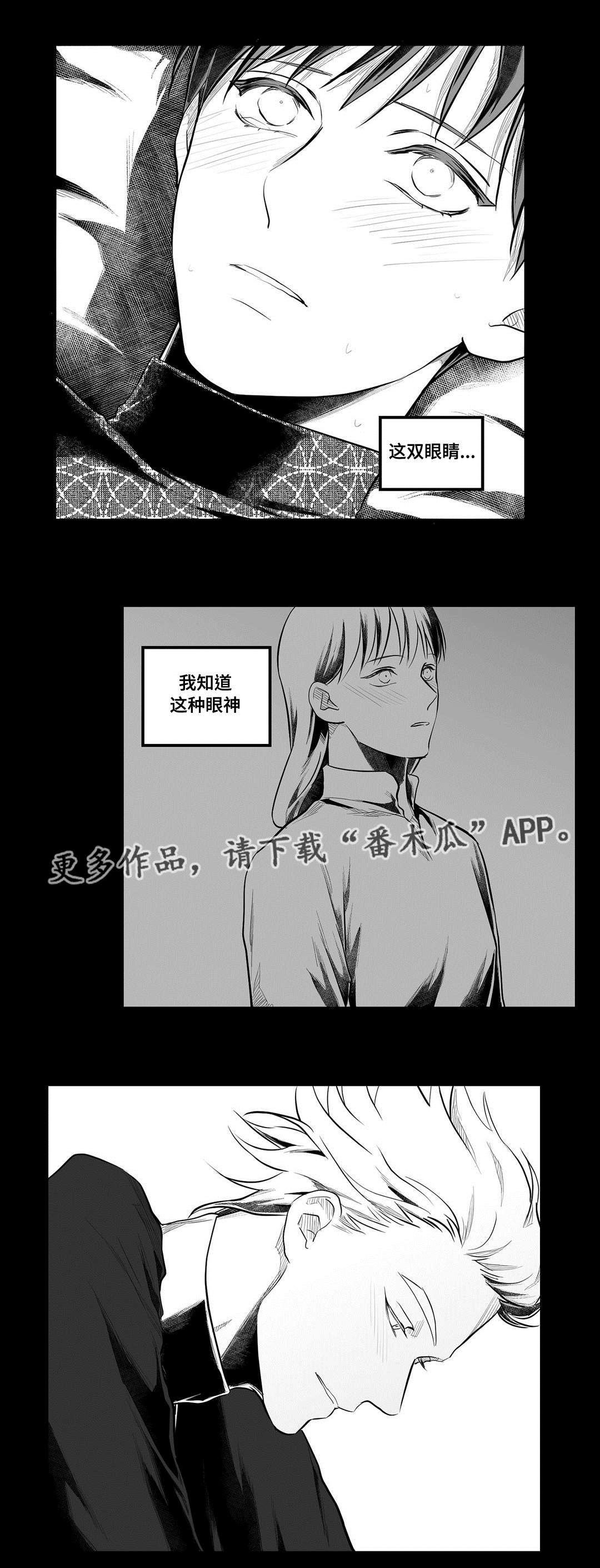 《巫师与王子》第55章爱上 第21页