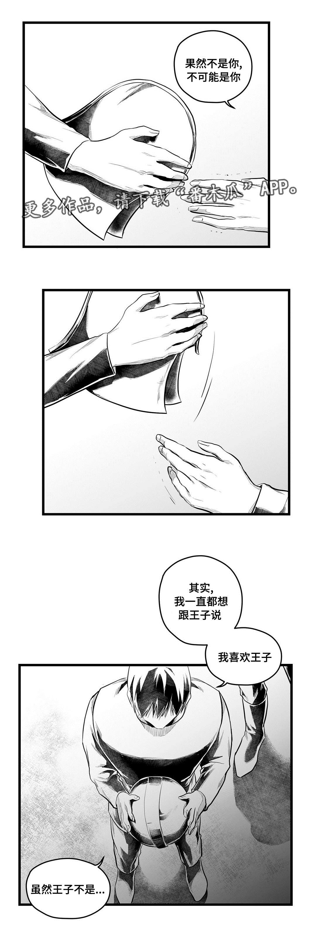 《巫师与王子》第55章爱上 第2页