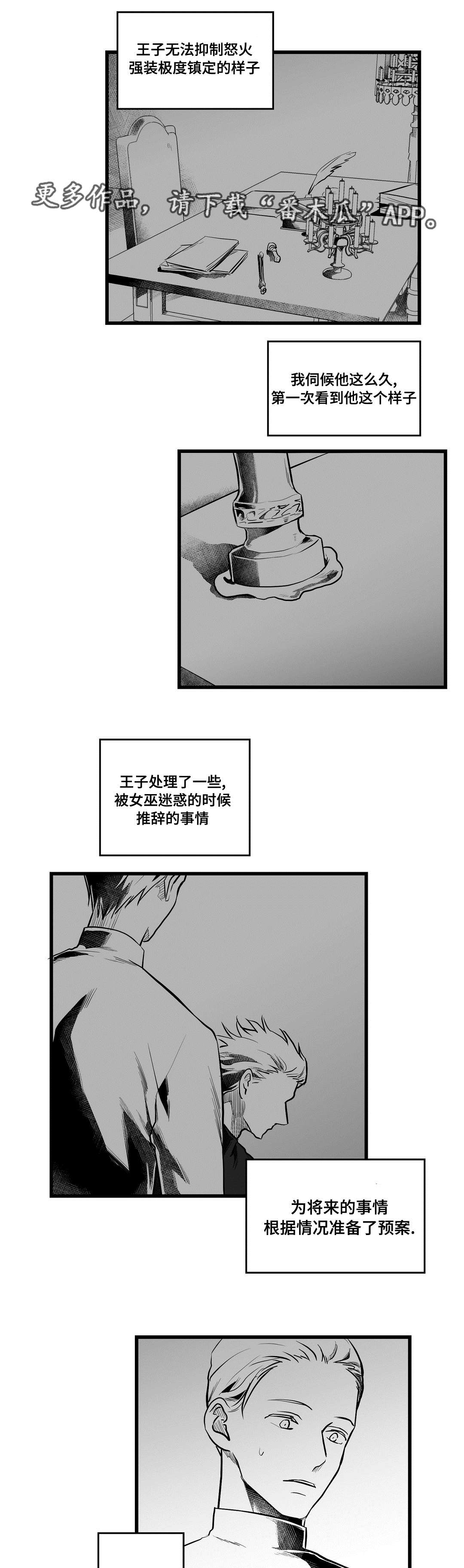 《巫师与王子》第57章山雨欲来 第10页
