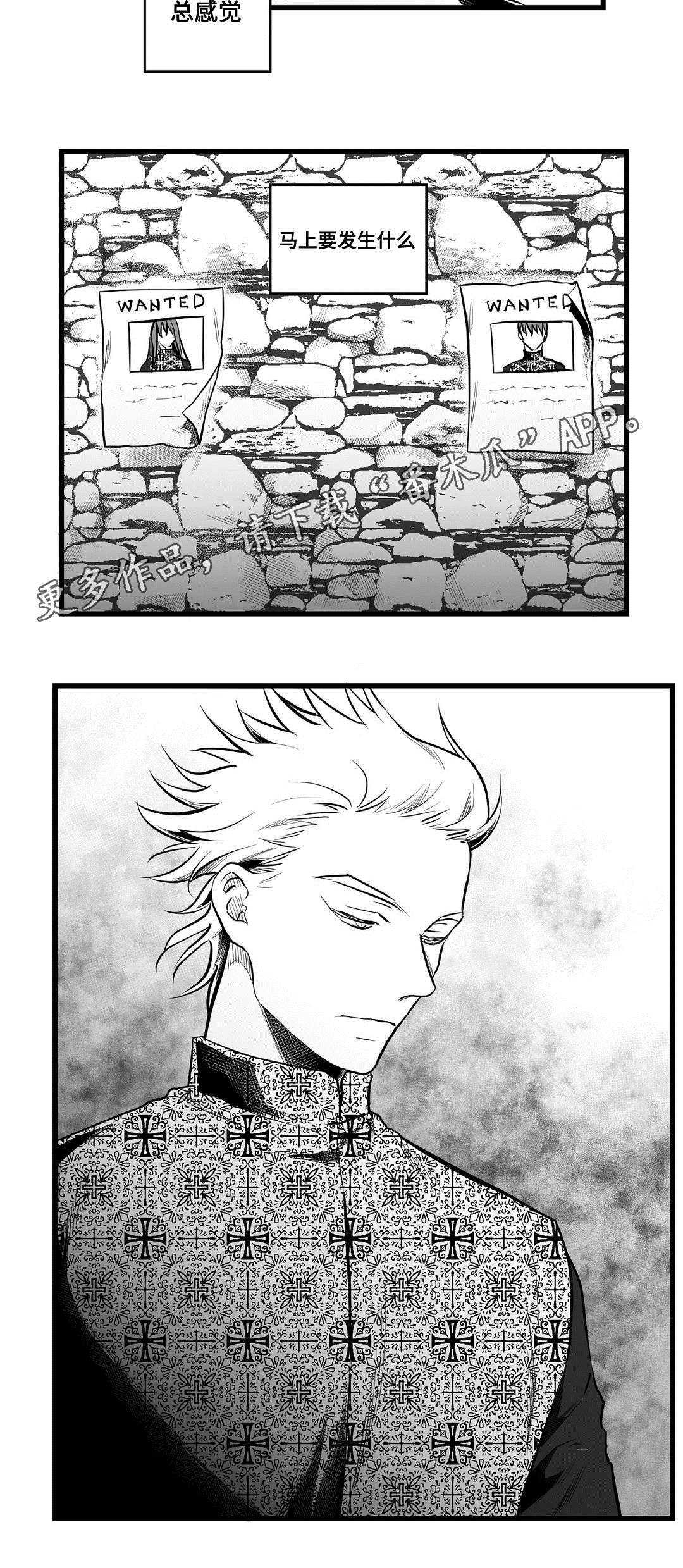 《巫师与王子》第57章山雨欲来 第11页