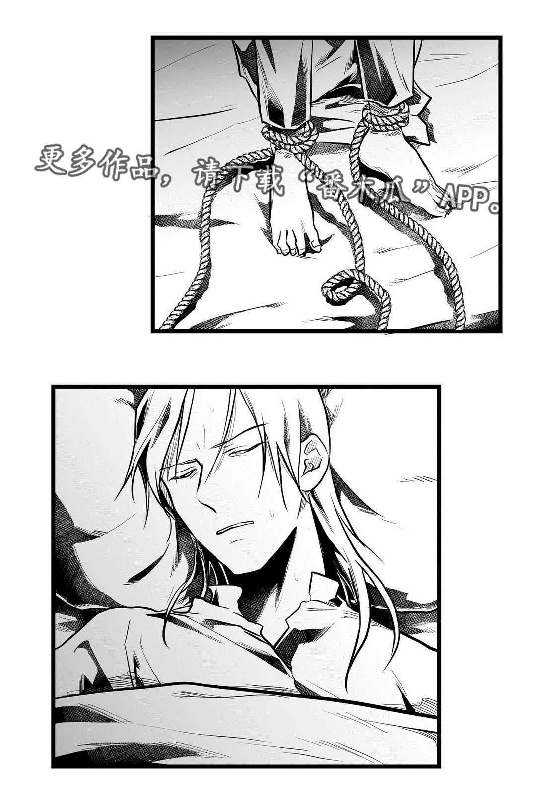 《巫师与王子》第57章山雨欲来 第13页