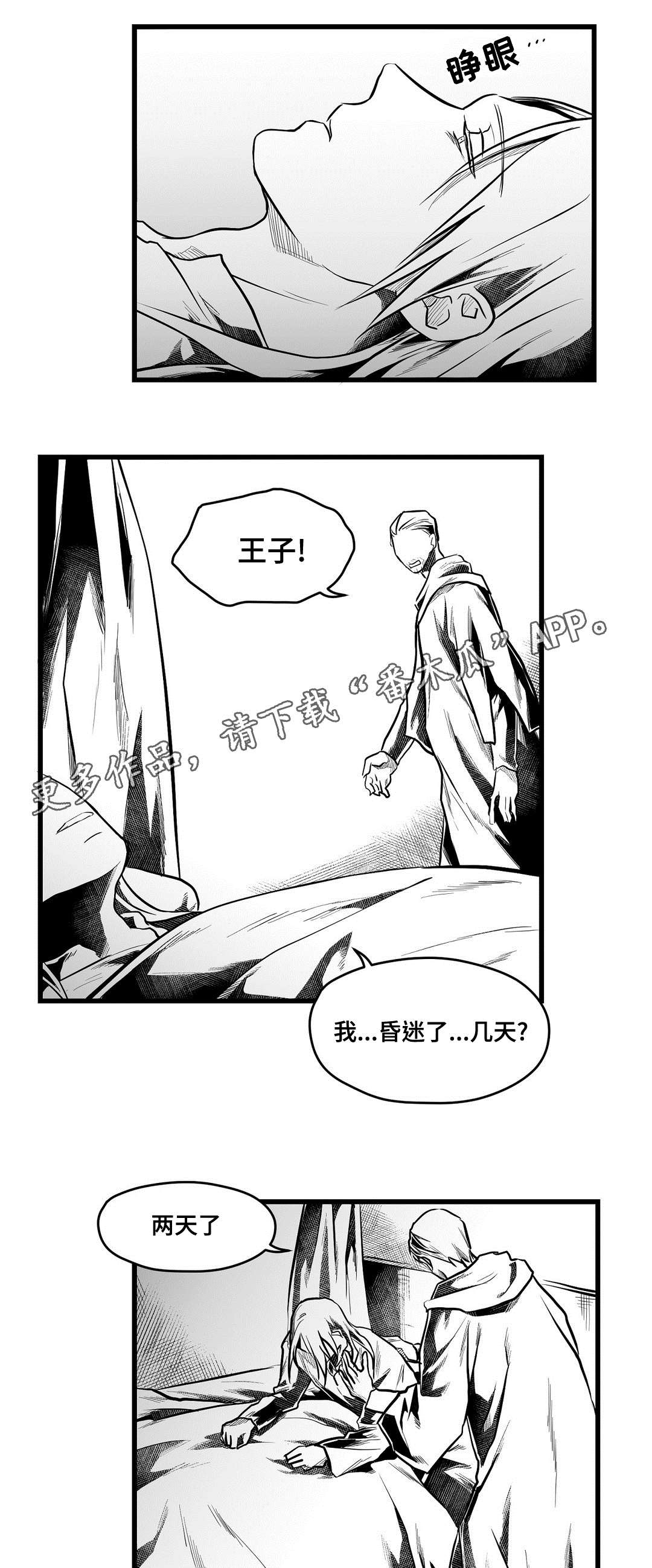 《巫师与王子》第57章山雨欲来 第14页