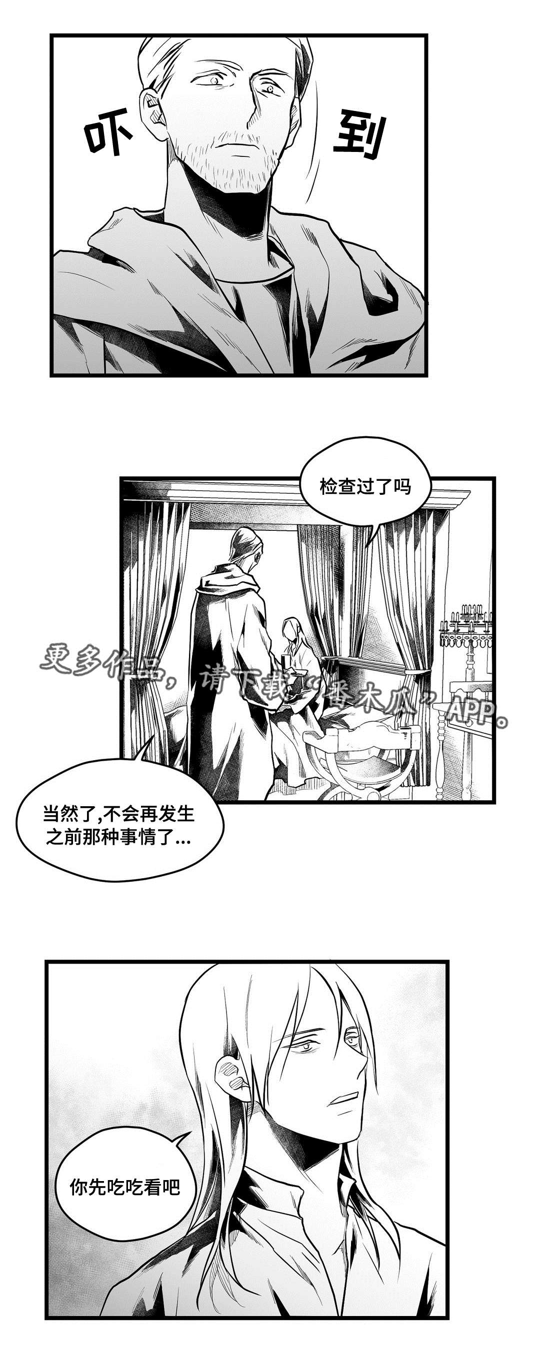 《巫师与王子》第57章山雨欲来 第17页