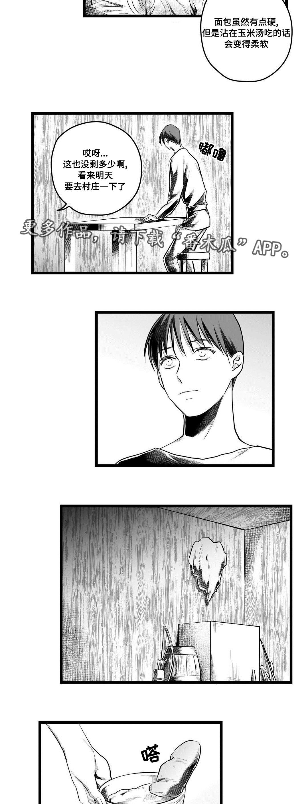 《巫师与王子》第60章谢意 第13页