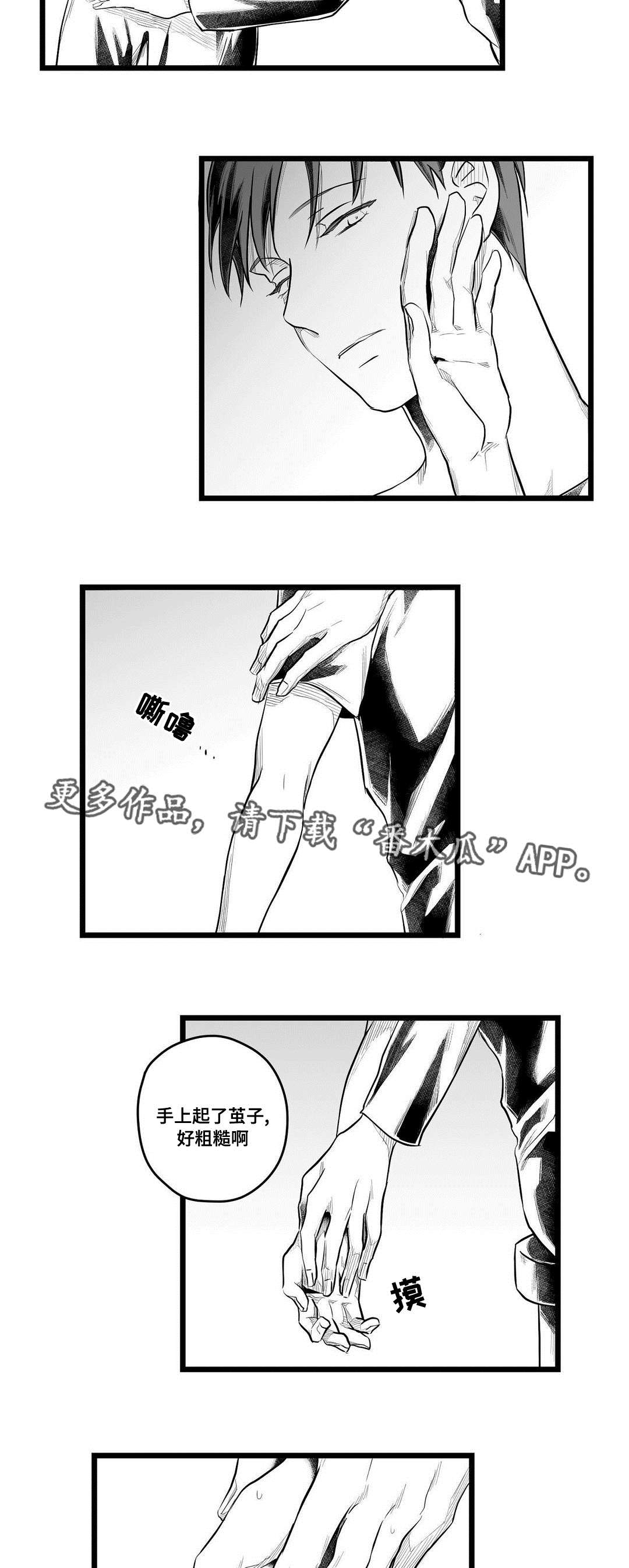 《巫师与王子》第60章谢意 第17页