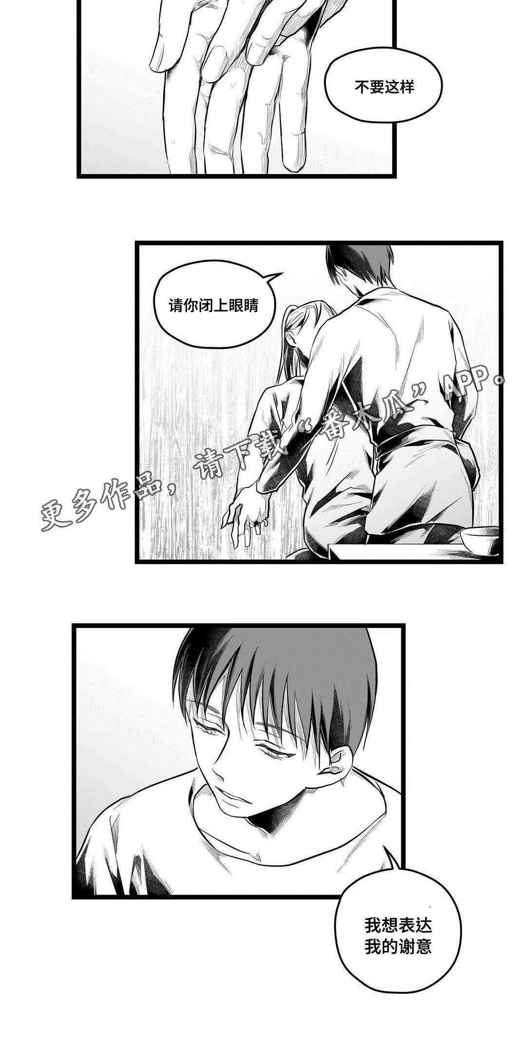 《巫师与王子》第60章谢意 第18页