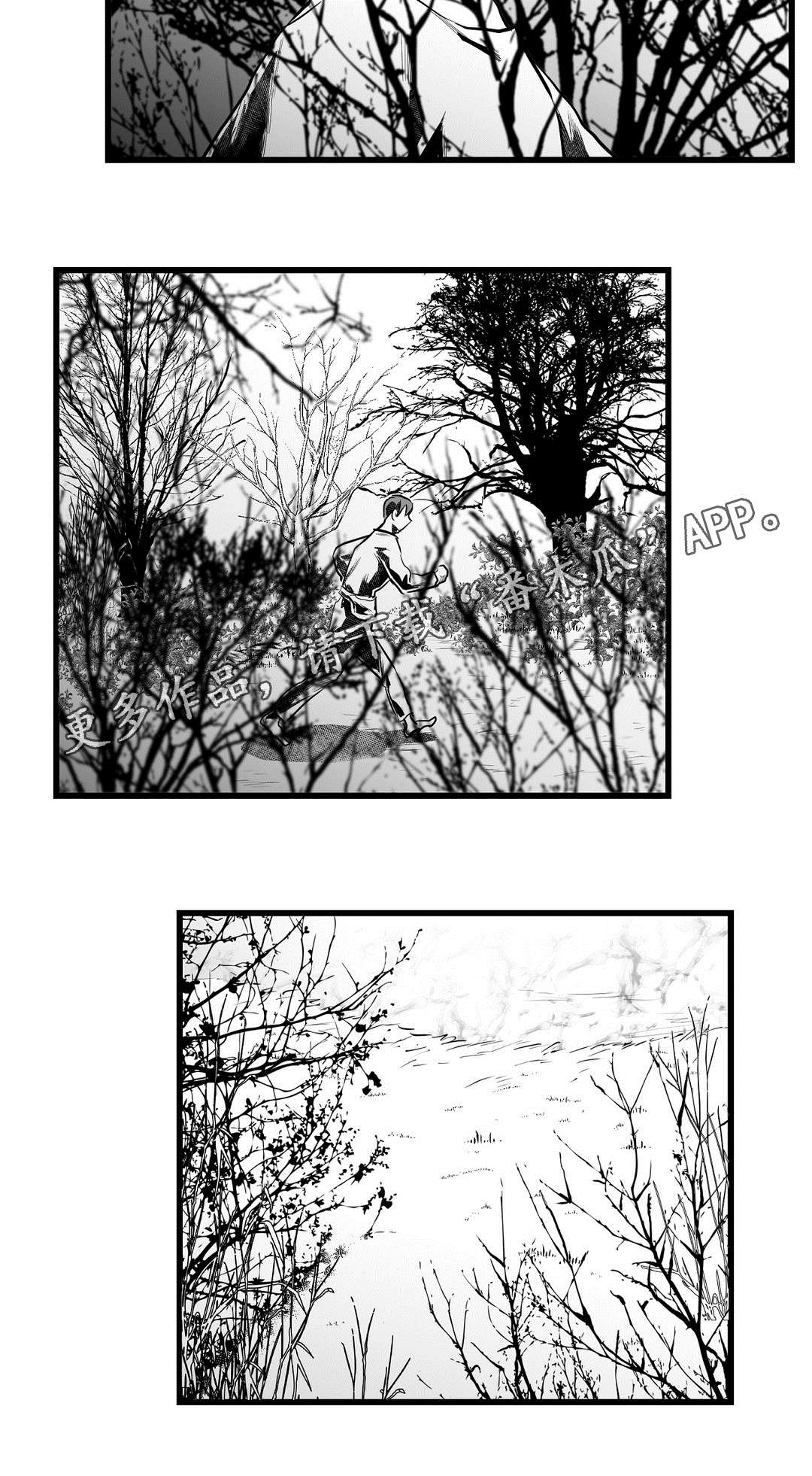 《巫师与王子》第59章错误 第12页