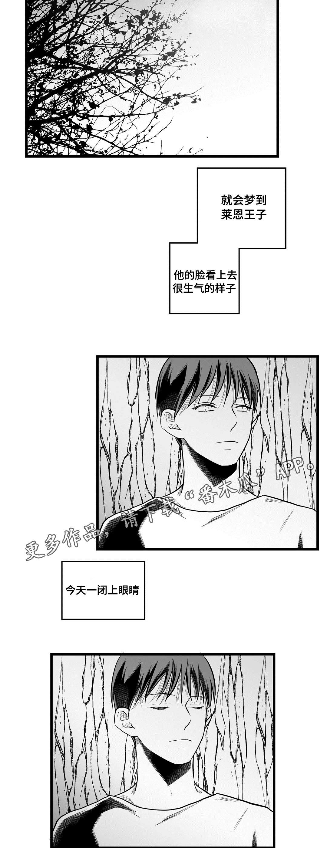 《巫师与王子》第59章错误 第14页