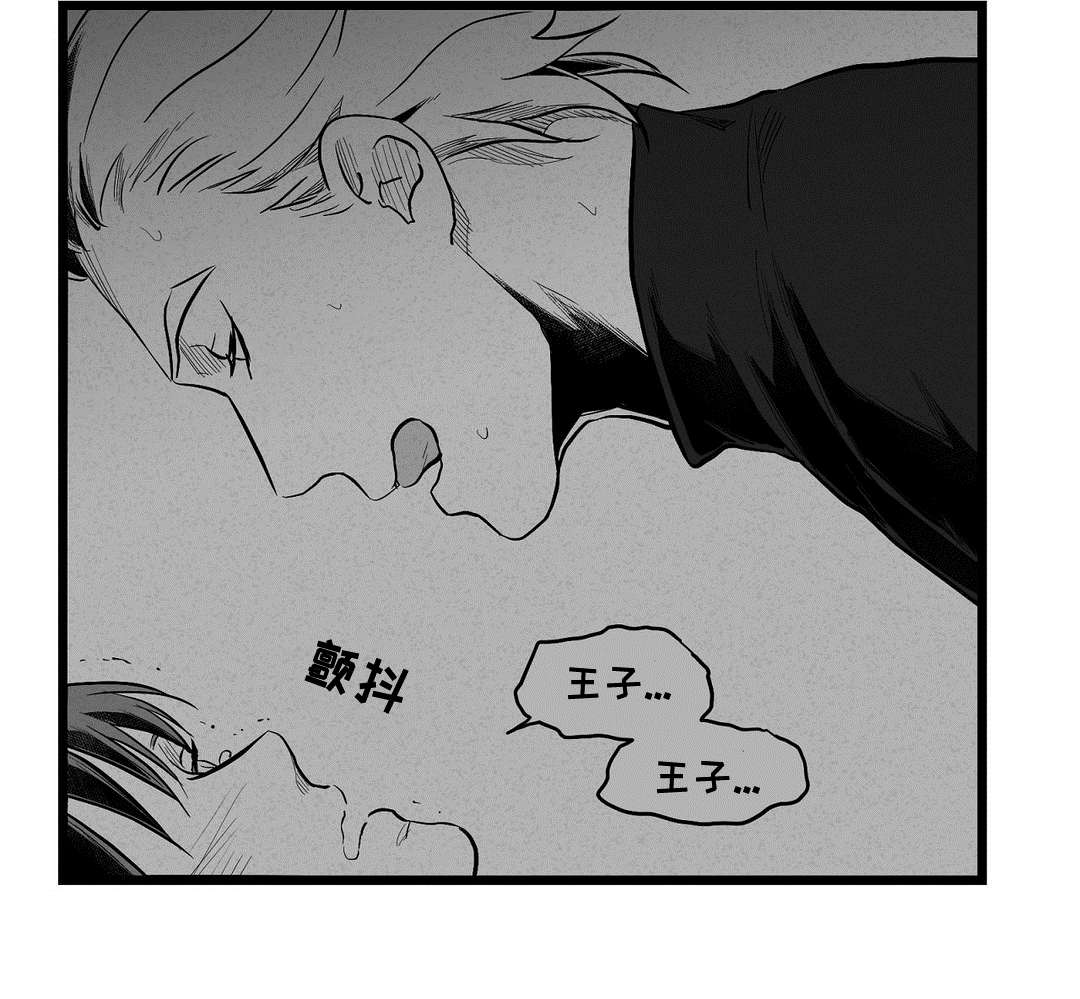 《巫师与王子》第59章错误 第29页