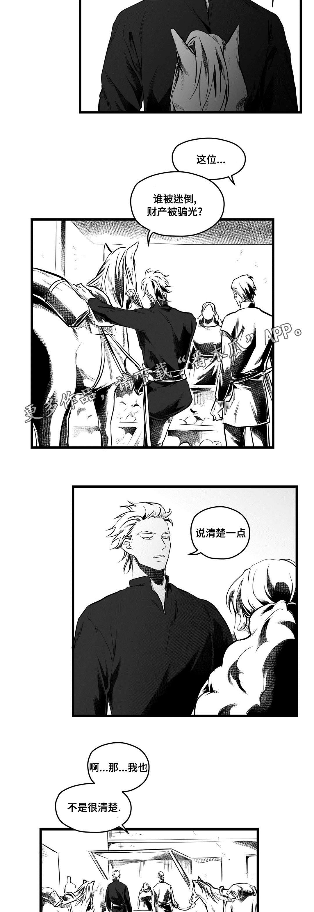 《巫师与王子》第58章追寻 第10页