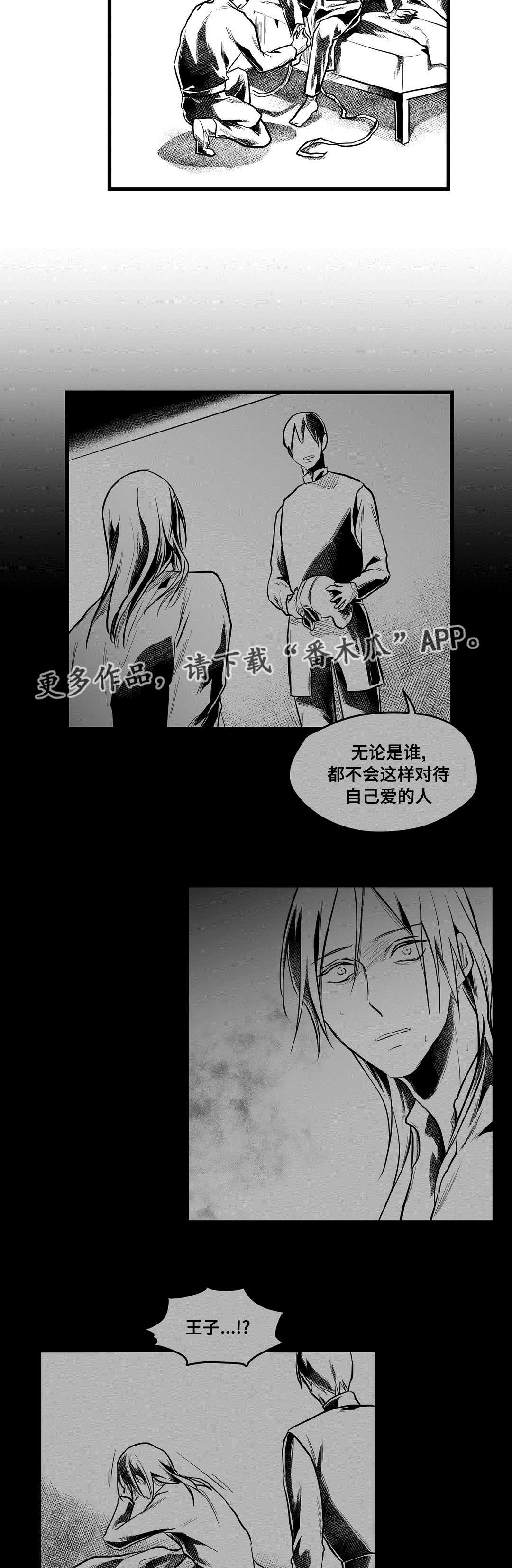 《巫师与王子》第58章追寻 第2页