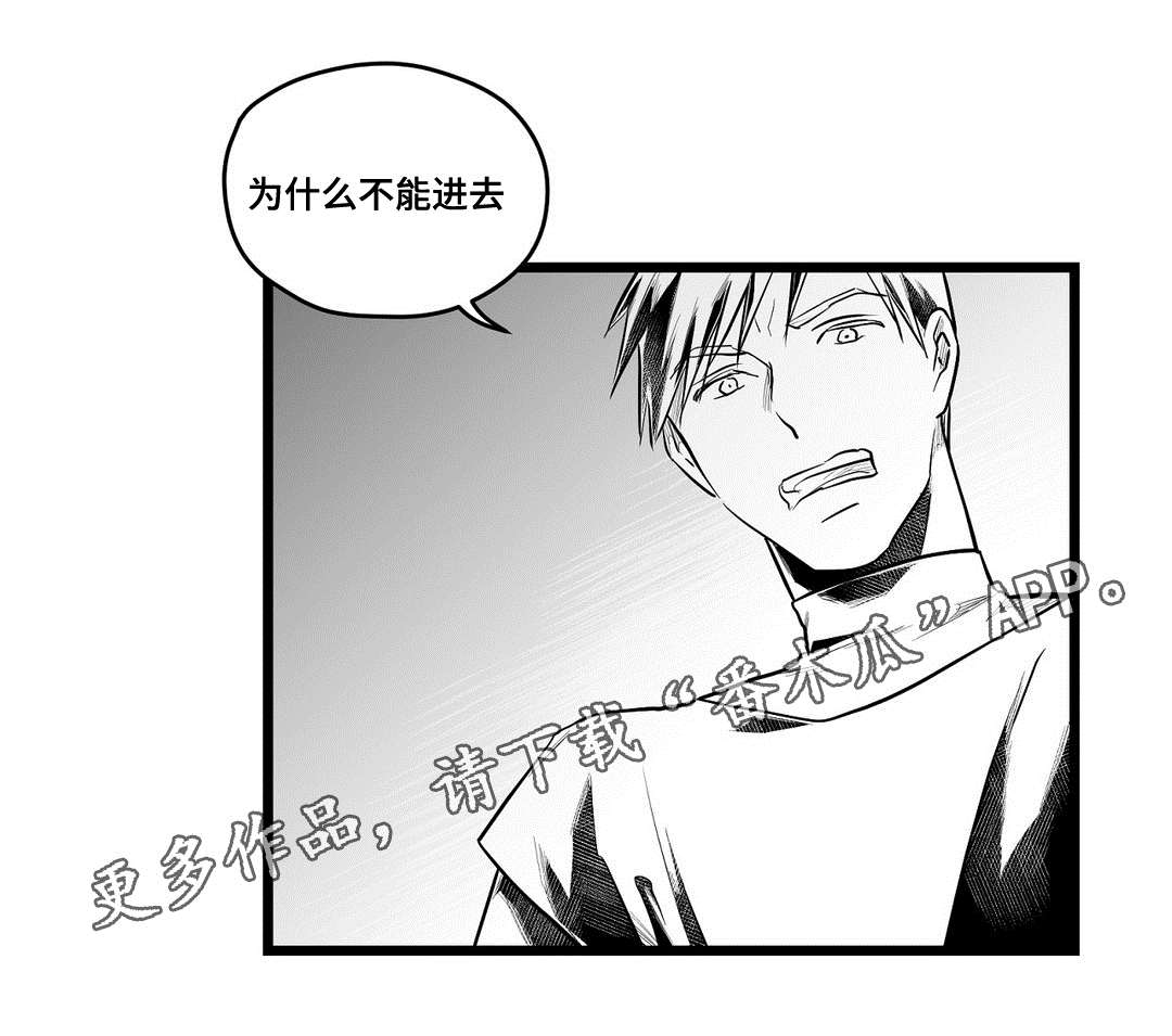 《巫师与王子》第61章好久不见 第17页