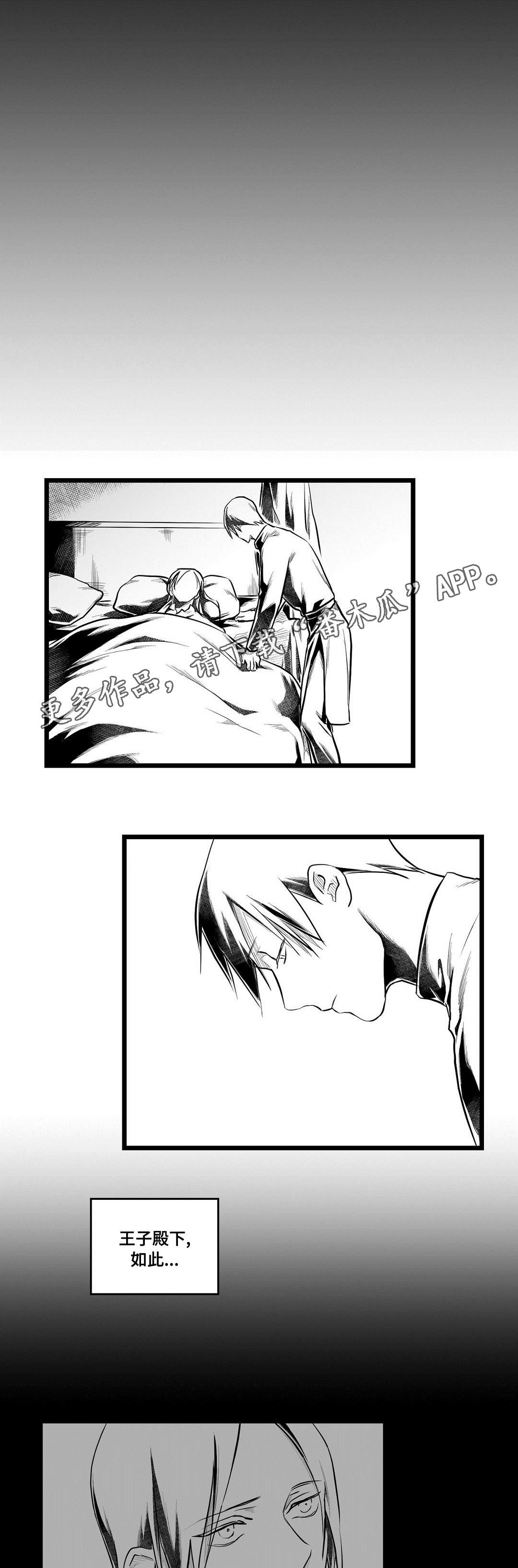 《巫师与王子》第62章相爱 第13页