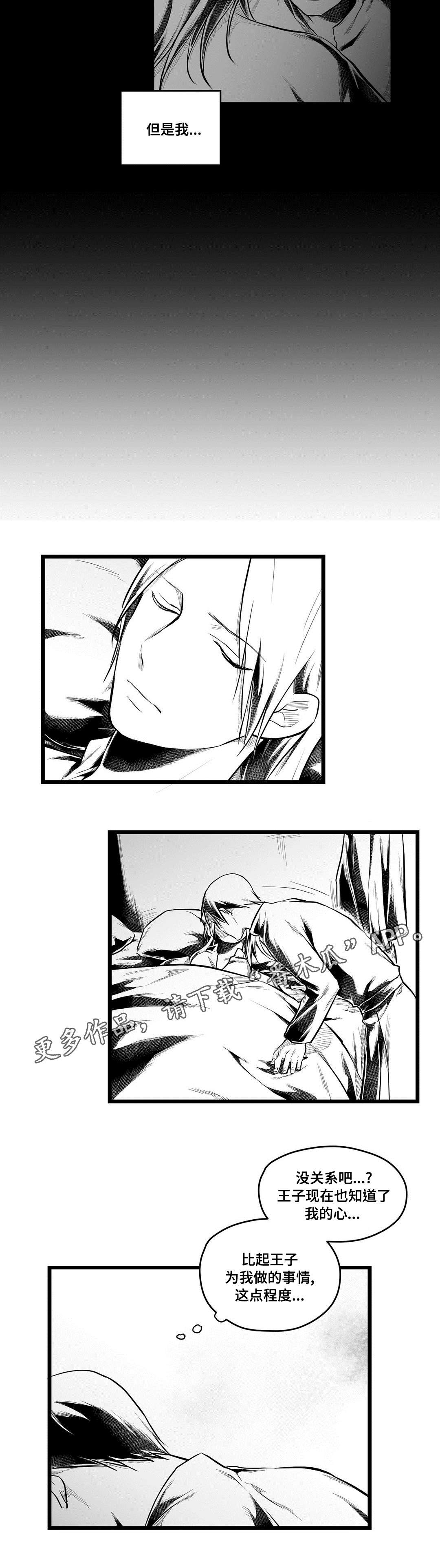 《巫师与王子》第62章相爱 第15页