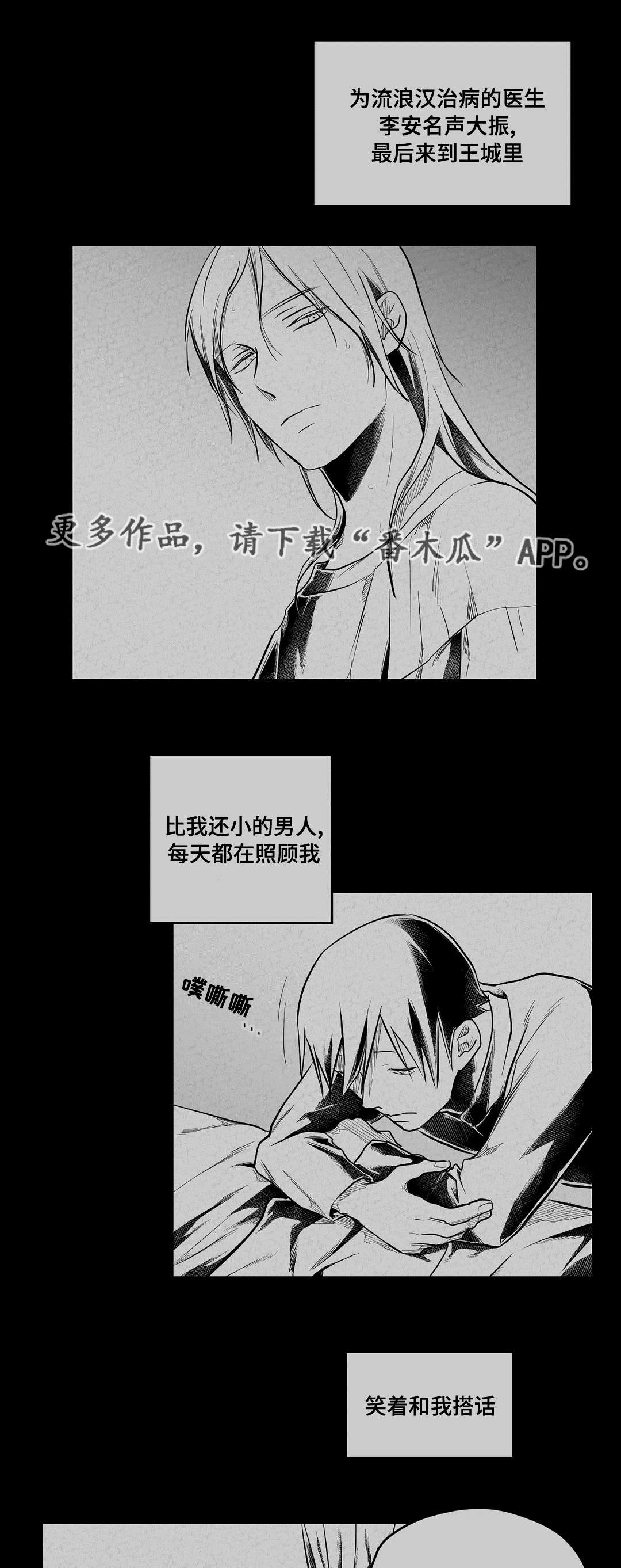 《巫师与王子》第63章爱情 第13页