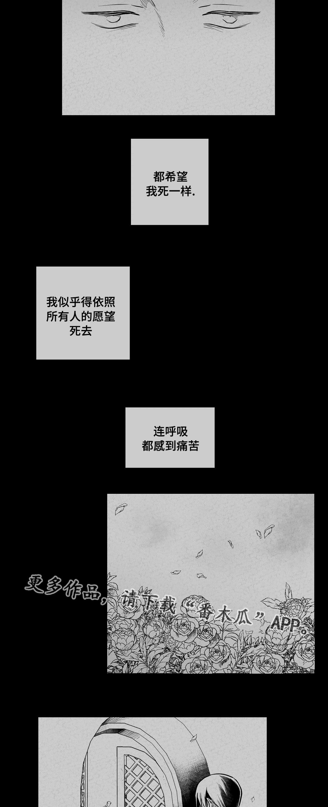 《巫师与王子》第63章爱情 第17页