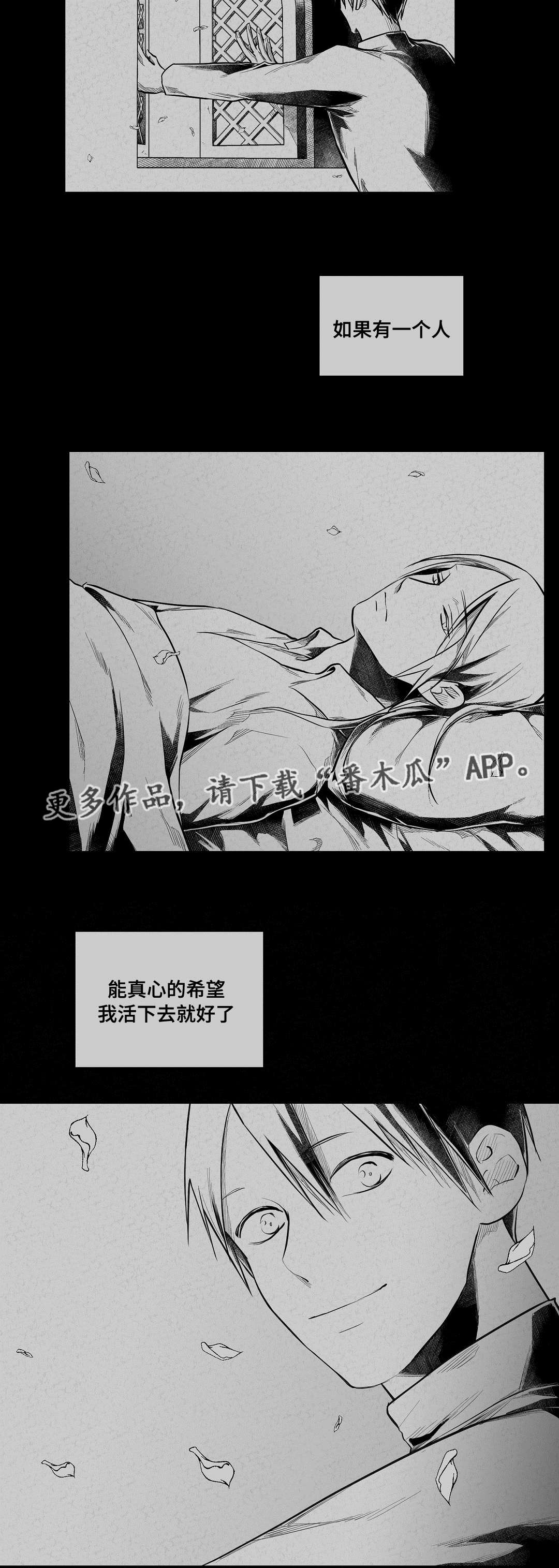 《巫师与王子》第63章爱情 第18页