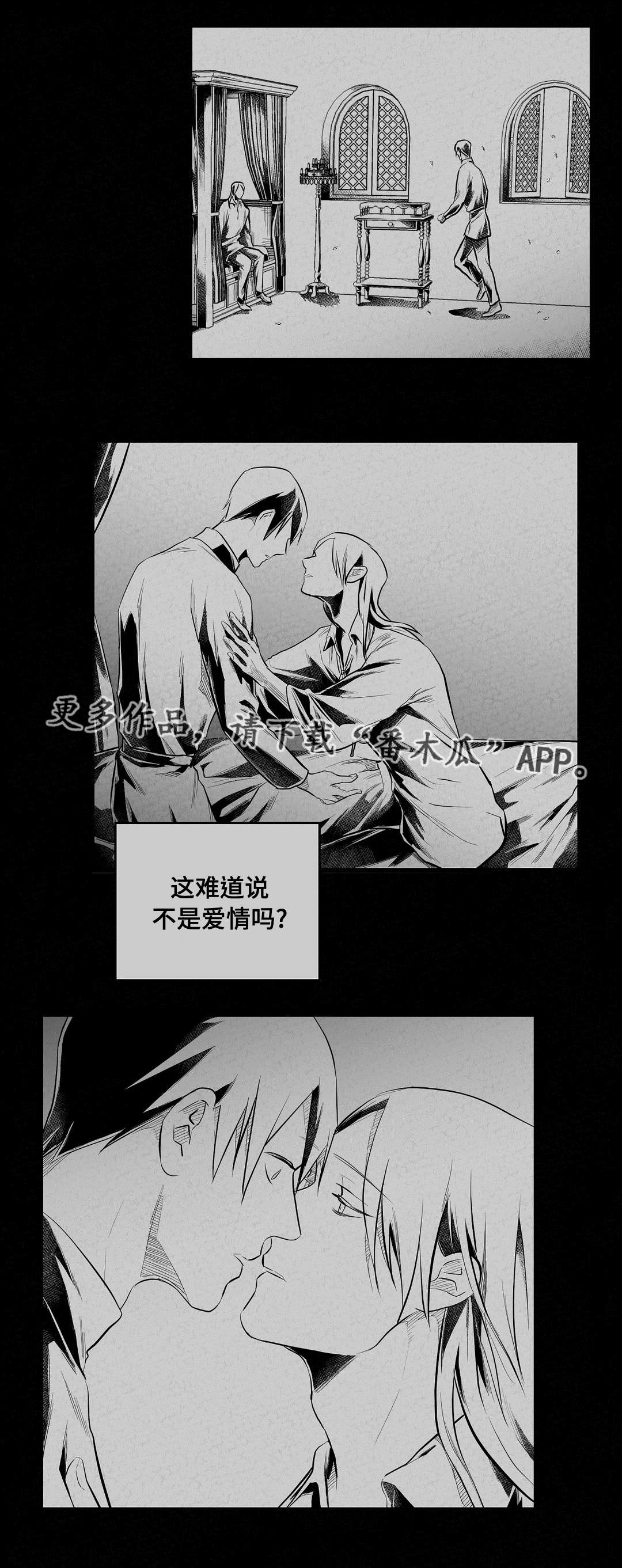 《巫师与王子》第63章爱情 第20页