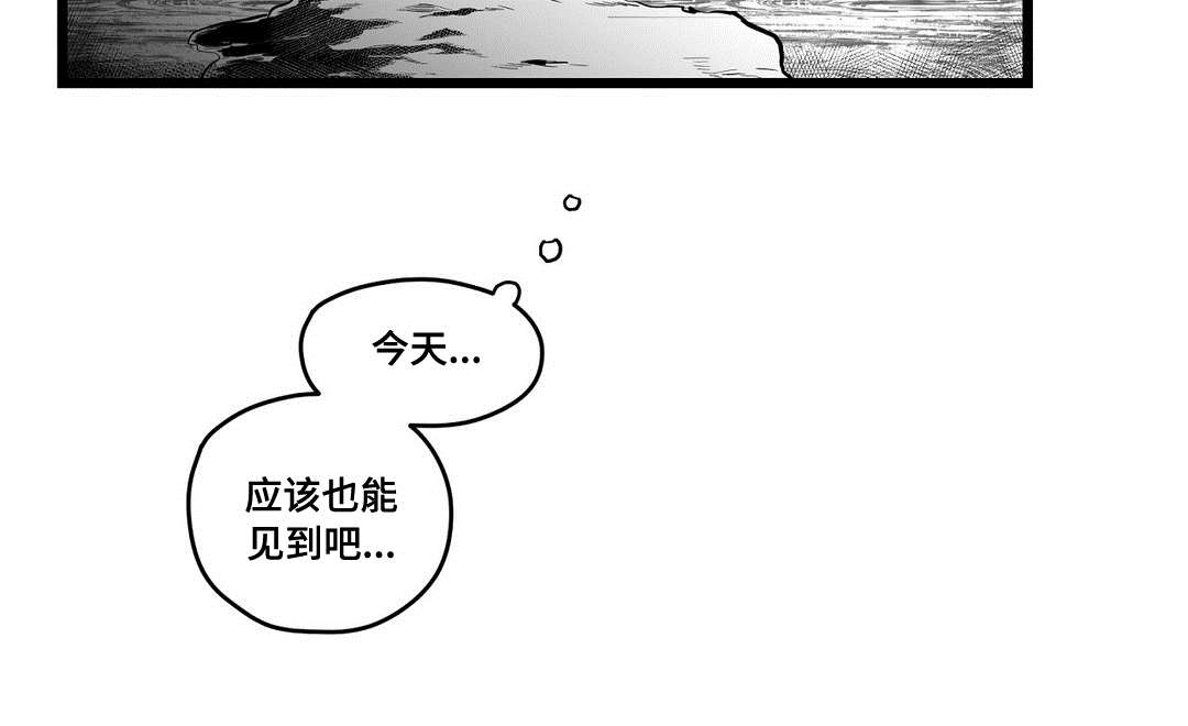 《巫师与王子》第63章爱情 第7页