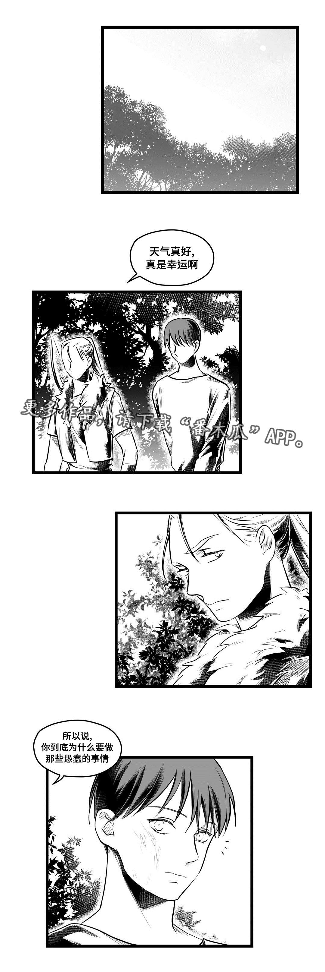 《巫师与王子》第63章爱情 第8页