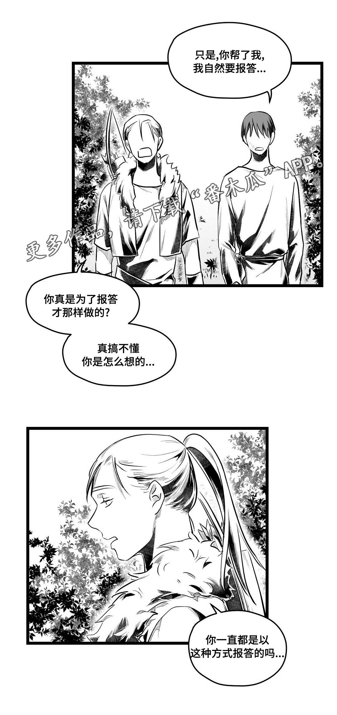 《巫师与王子》第63章爱情 第9页