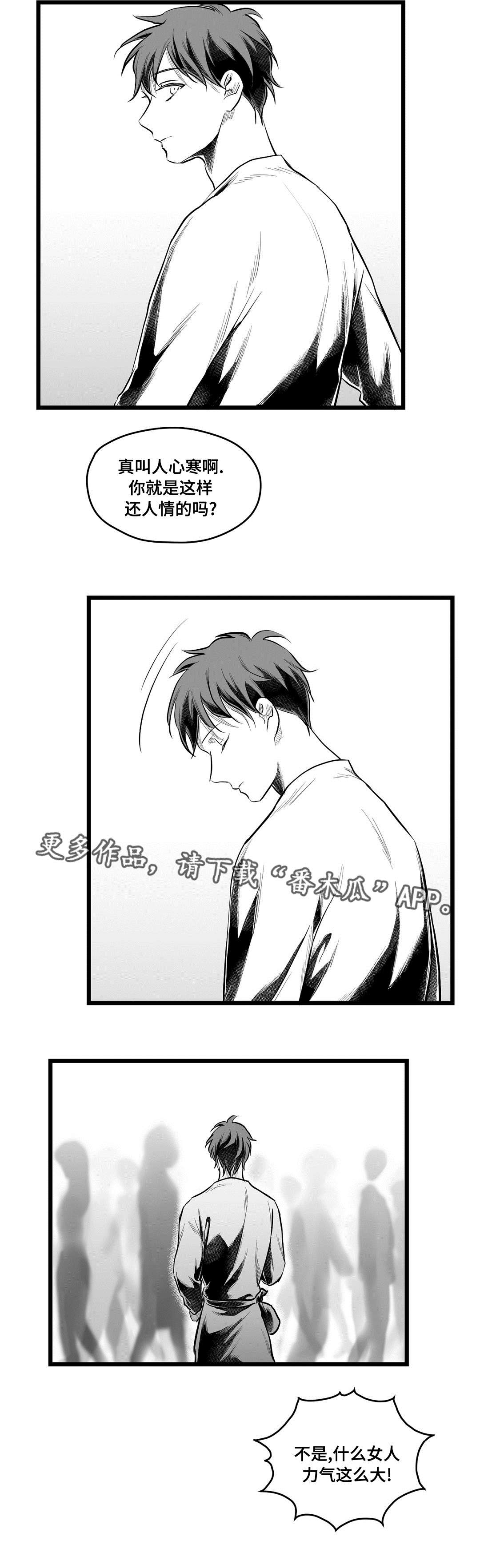 《巫师与王子》第65章是不是你 第11页