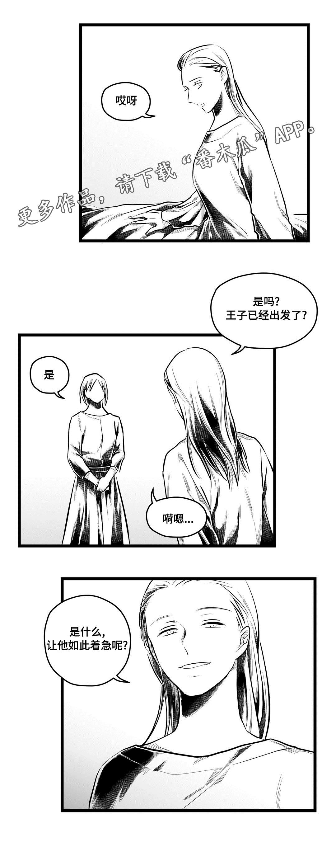 《巫师与王子》第64章杀掉他 第13页