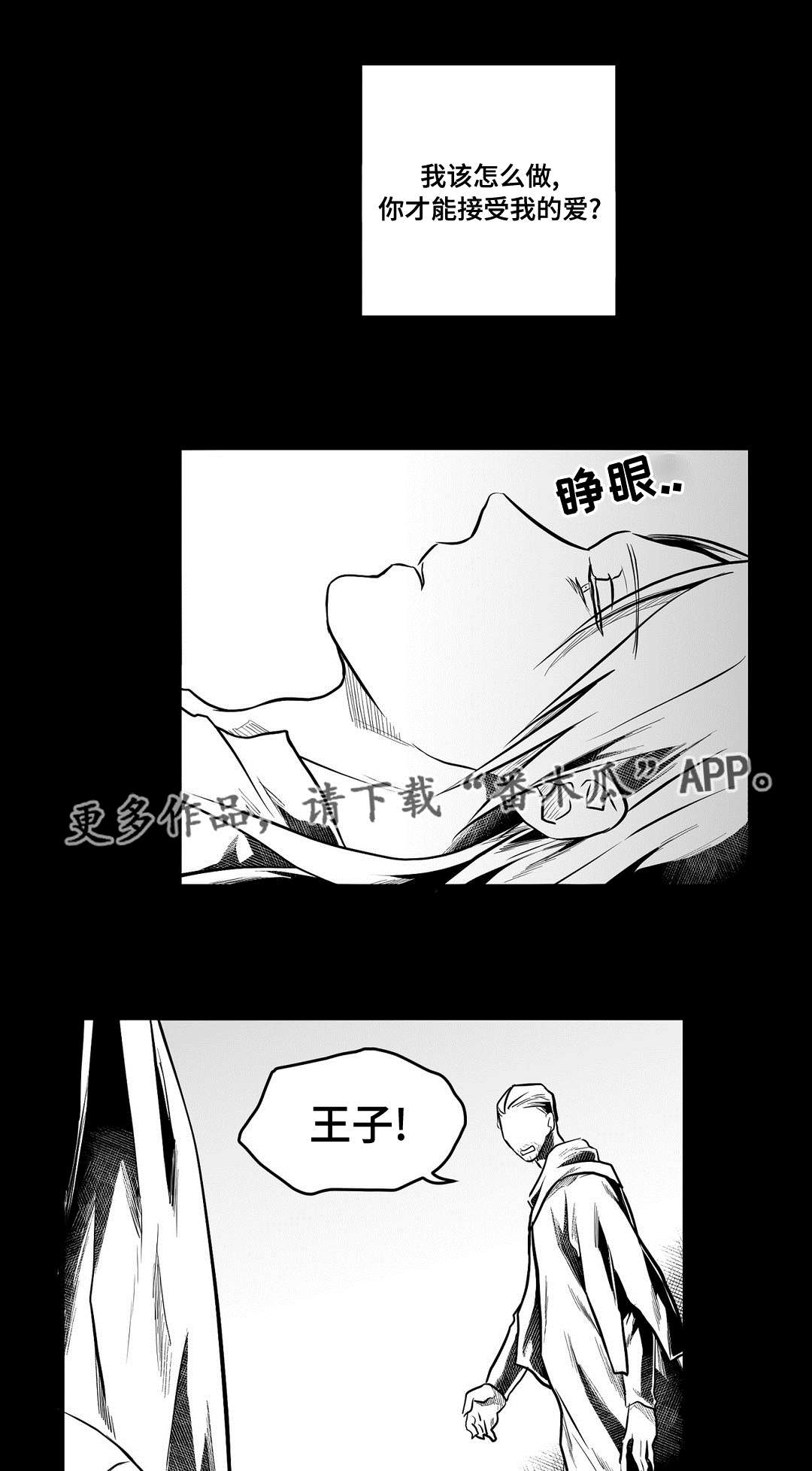 《巫师与王子》第64章杀掉他 第2页