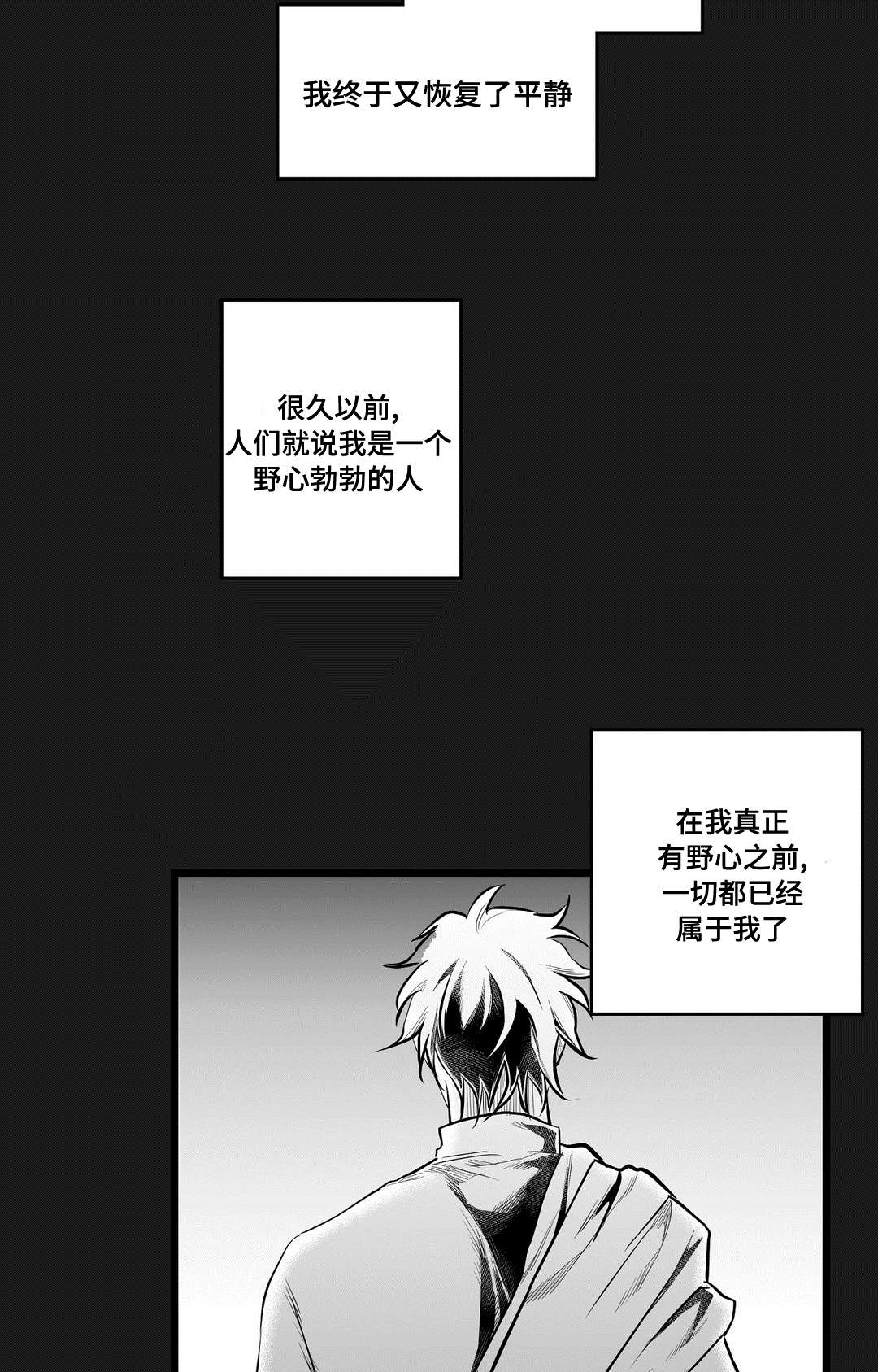 《巫师与王子》第69章野心 第13页
