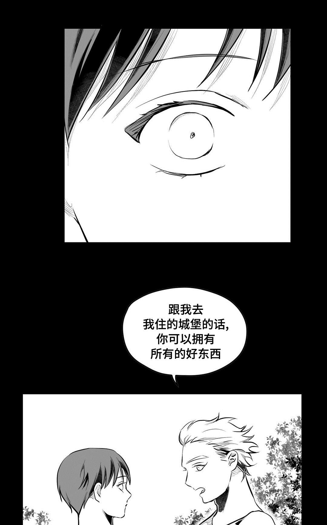 《巫师与王子》第69章野心 第17页
