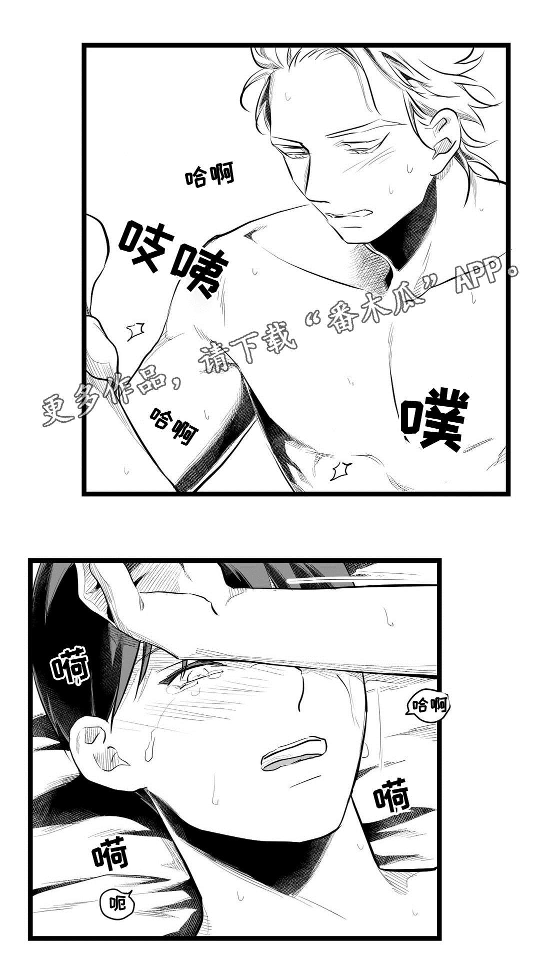 《巫师与王子》第69章野心 第2页